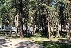 campground pine big mouse thumbnails enlarge most